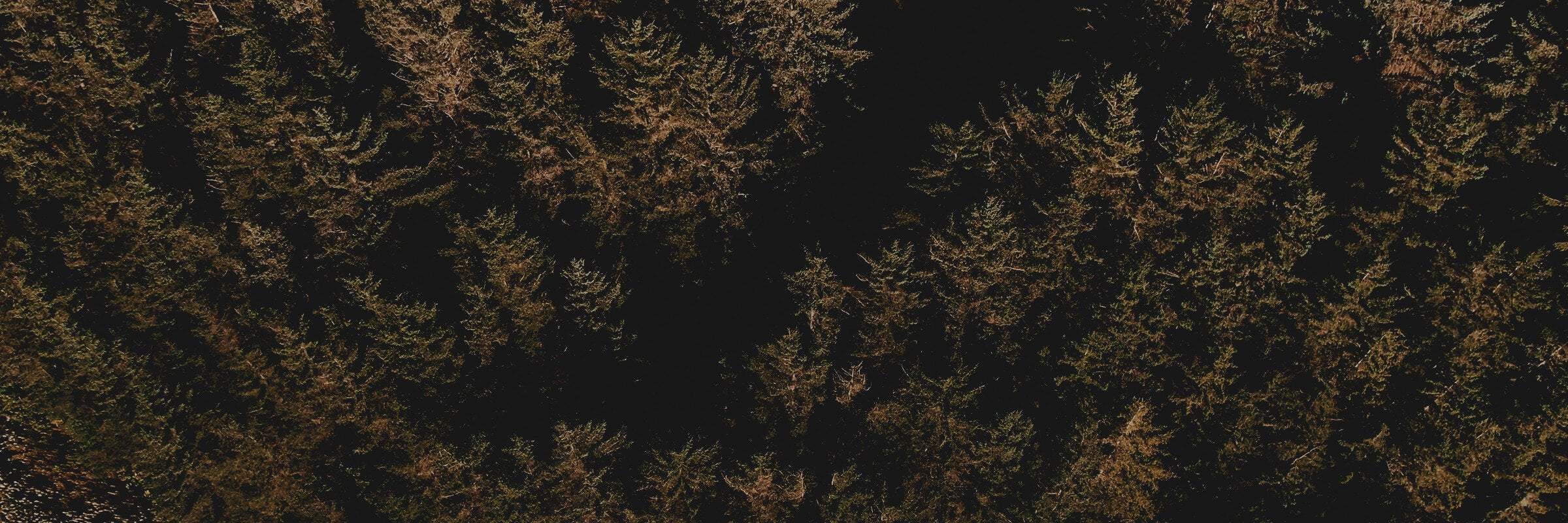 Mavic 2 Battery Life - A Noticeable Improvement?